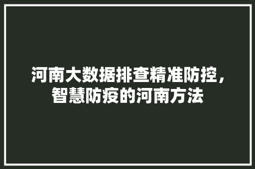 河南大数据排查精准防控，智慧防疫的河南方法