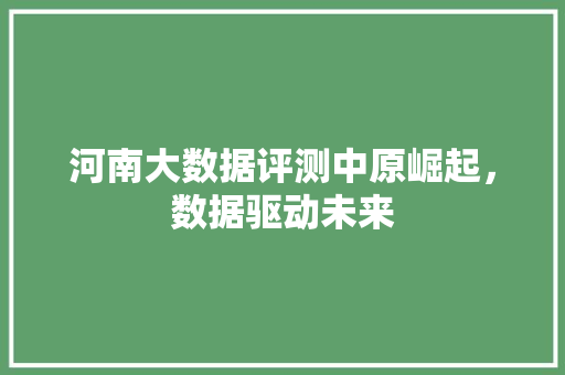 河南大数据评测中原崛起，数据驱动未来