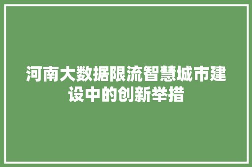 河南大数据限流智慧城市建设中的创新举措 电脑故障维修