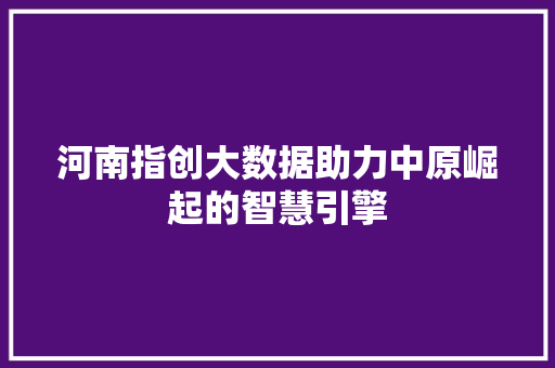 河南指创大数据助力中原崛起的智慧引擎