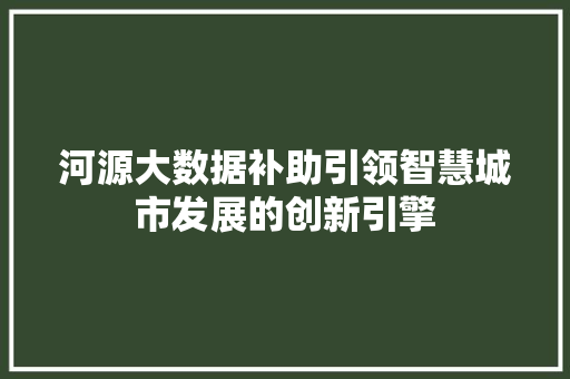 河源大数据补助引领智慧城市发展的创新引擎