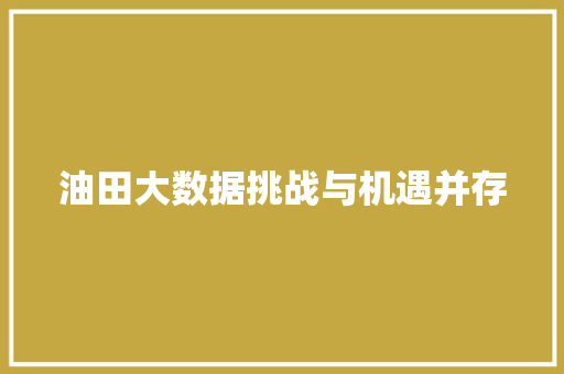 油田大数据挑战与机遇并存