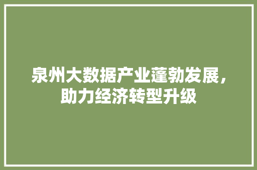 泉州大数据产业蓬勃发展，助力经济转型升级