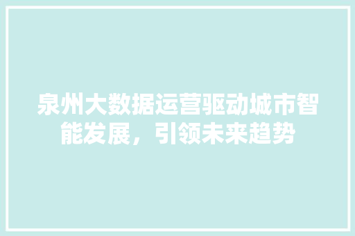 泉州大数据运营驱动城市智能发展，引领未来趋势