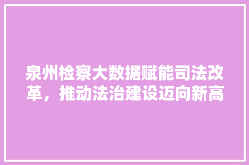泉州检察大数据赋能司法改革,推动法治建设迈向新高度 泉州检察大数据赋能司法改革,推动法治建设迈向新高度