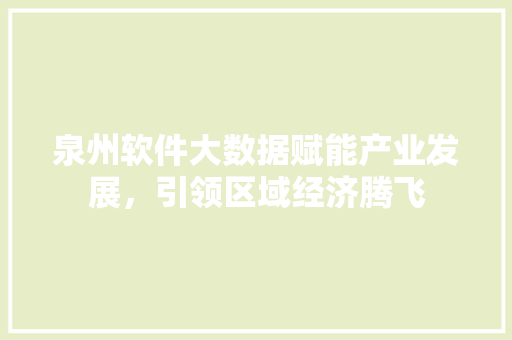 泉州软件大数据赋能产业发展,引领区域经济腾飞 泉州软件大数据赋能产业发展,引领区域经济腾飞