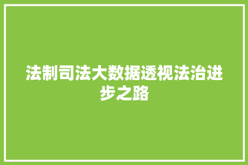 法制司法大数据透视法治进步之路 法制司法大数据透视法治进步之路