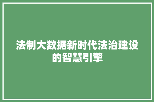 法制大数据新时代法治建设的智慧引擎 法制大数据新时代法治建设的智慧引擎
