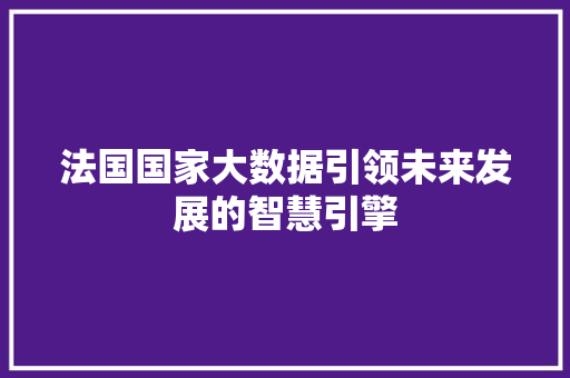 法国国家大数据引领未来发展的智慧引擎 法国国家大数据引领未来发展的智慧引擎