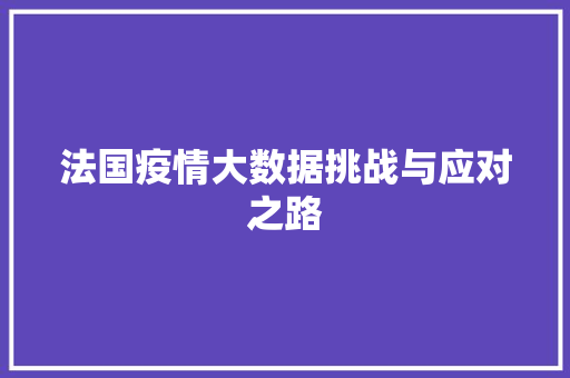 法国疫情大数据挑战与应对之路 法国疫情大数据挑战与应对之路