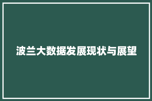 波兰大数据发展现状与展望 电脑故障维修
