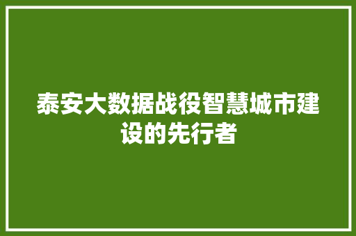 泰安大数据战役智慧城市建设的先行者