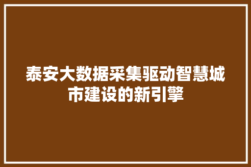 泰安大数据采集驱动智慧城市建设的新引擎