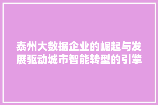 泰州大数据企业的崛起与发展驱动城市智能转型的引擎