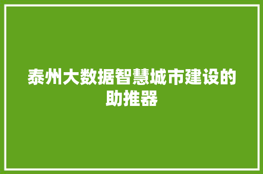 泰州大数据智慧城市建设的助推器