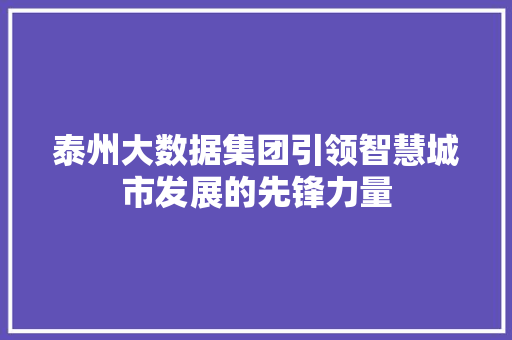 泰州大数据集团引领智慧城市发展的先锋力量 网络技术