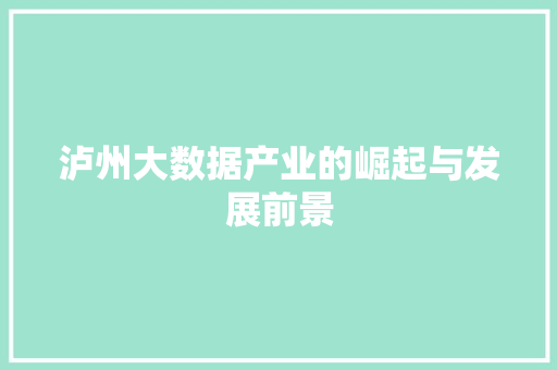 泸州大数据产业的崛起与发展前景 编程语言