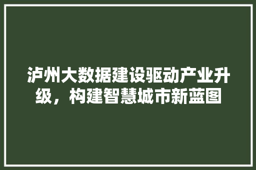 泸州大数据建设驱动产业升级，构建智慧城市新蓝图 编程语言