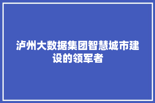 泸州大数据集团智慧城市建设的领军者 泸州大数据集团智慧城市建设的领军者