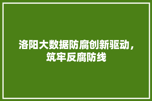 洛阳大数据防腐创新驱动，筑牢反腐防线