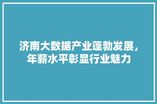 济南大数据产业蓬勃发展，年薪水平彰显行业魅力