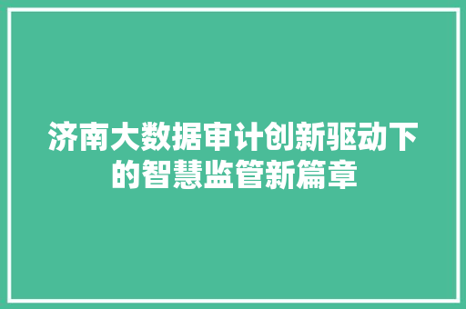 济南大数据审计创新驱动下的智慧监管新篇章