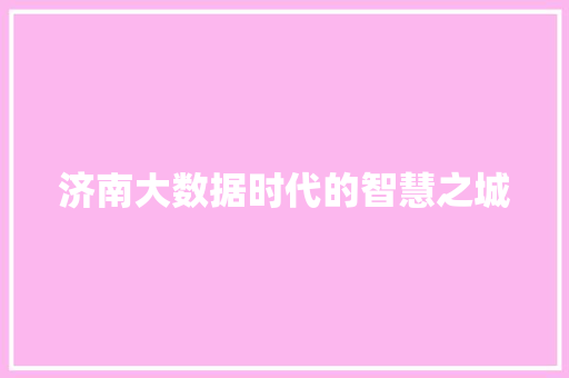 济南大数据时代的智慧之城