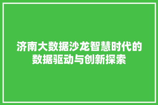 济南大数据沙龙智慧时代的数据驱动与创新探索
