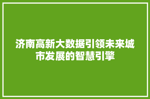 济南高新大数据引领未来城市发展的智慧引擎
