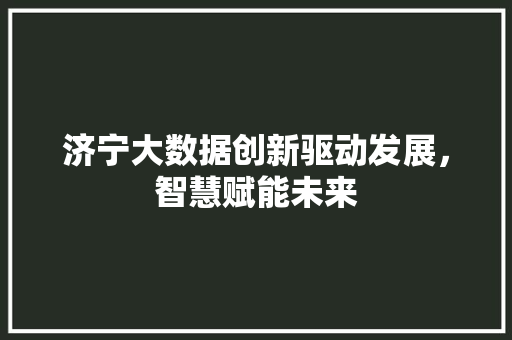 济宁大数据创新驱动发展，智慧赋能未来
