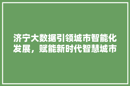 济宁大数据引领城市智能化发展，赋能新时代智慧城市建设