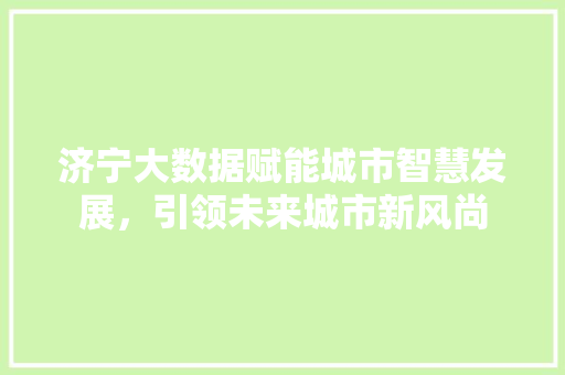 济宁大数据赋能城市智慧发展，引领未来城市新风尚