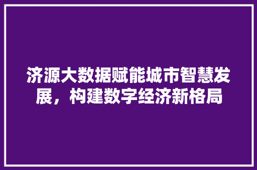 济源大数据赋能城市智慧发展，构建数字经济新格局