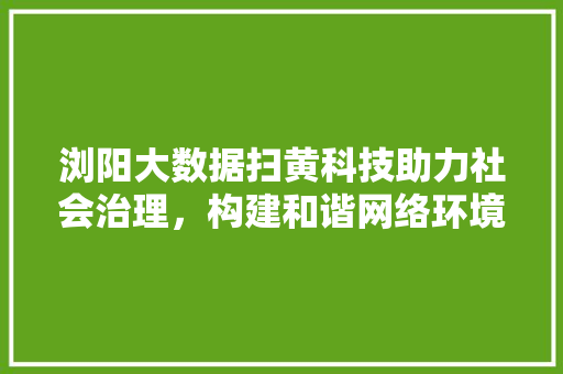 浏阳大数据扫黄科技助力社会治理，构建和谐网络环境