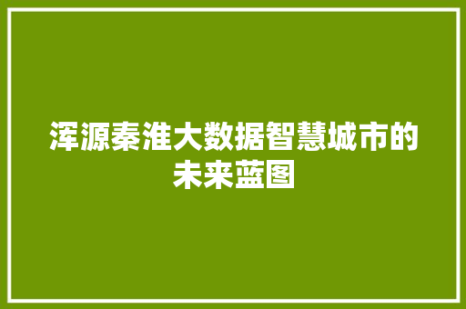 浑源秦淮大数据智慧城市的未来蓝图