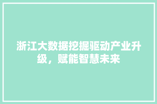 浙江大数据挖掘驱动产业升级，赋能智慧未来