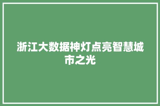 浙江大数据神灯点亮智慧城市之光