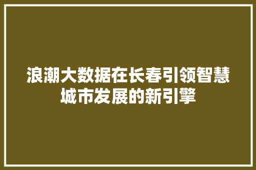 浪潮大数据在长春引领智慧城市发展的新引擎