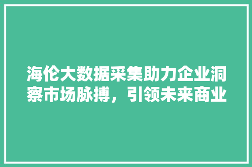 海伦大数据采集助力企业洞察市场脉搏，引领未来商业发展