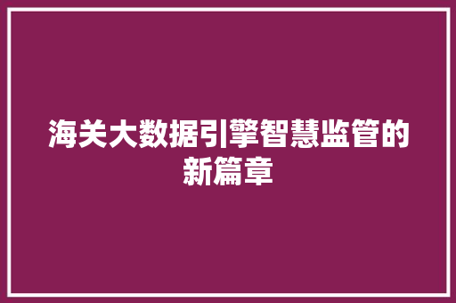 海关大数据引擎智慧监管的新篇章 海关大数据引擎智慧监管的新篇章
