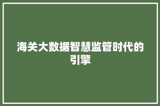 海关大数据智慧监管时代的引擎