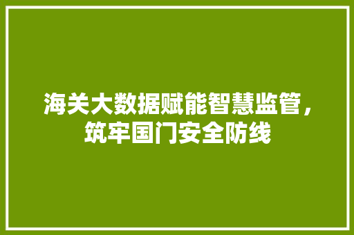 海关大数据赋能智慧监管，筑牢国门安全防线