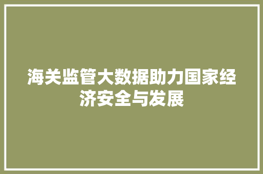 海关监管大数据助力国家经济安全与发展