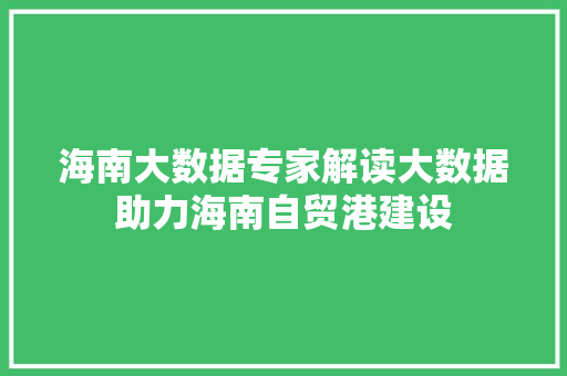 海南大数据专家解读大数据助力海南自贸港建设