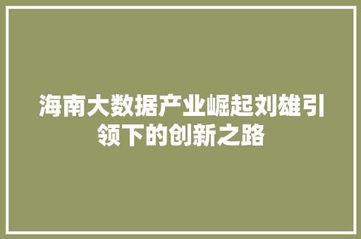 海南大数据产业崛起刘雄引领下的创新之路