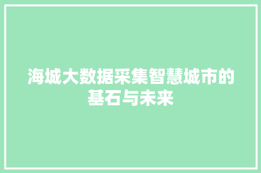 海城大数据采集智慧城市的基石与未来