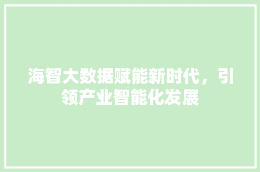 海智大数据赋能新时代，引领产业智能化发展