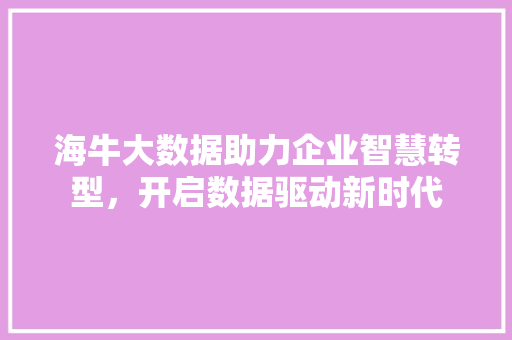 海牛大数据助力企业智慧转型，开启数据驱动新时代 网络技术