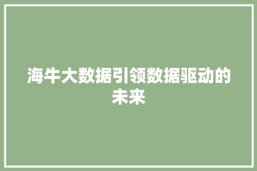 海牛大数据引领数据驱动的未来