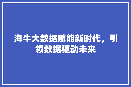 海牛大数据赋能新时代，引领数据驱动未来